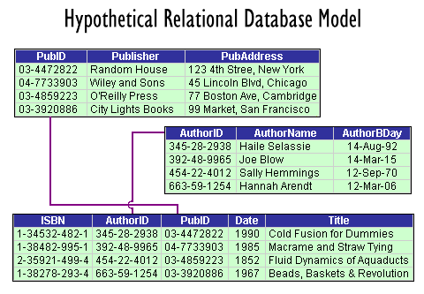 Hypothetical Relational Database Model