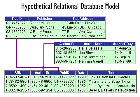 hierarchical database example